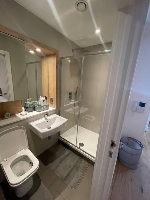 Apartment Vibrant Flat In The Centre Slough